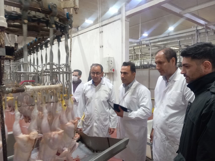 بازدید مشترک دامپزشکی و دستگاه های اجرایی از کشتارگاه طیور شازند